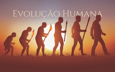 A Evolução Humana | Palácio dos Condes de Redondo, no átrio da Biblioteca |  de 1 de março a 30 de junho de 2020